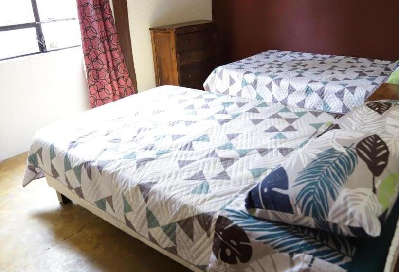 Pension (Hôtel basse catégorie) Arte Sin Fronteras Hostel