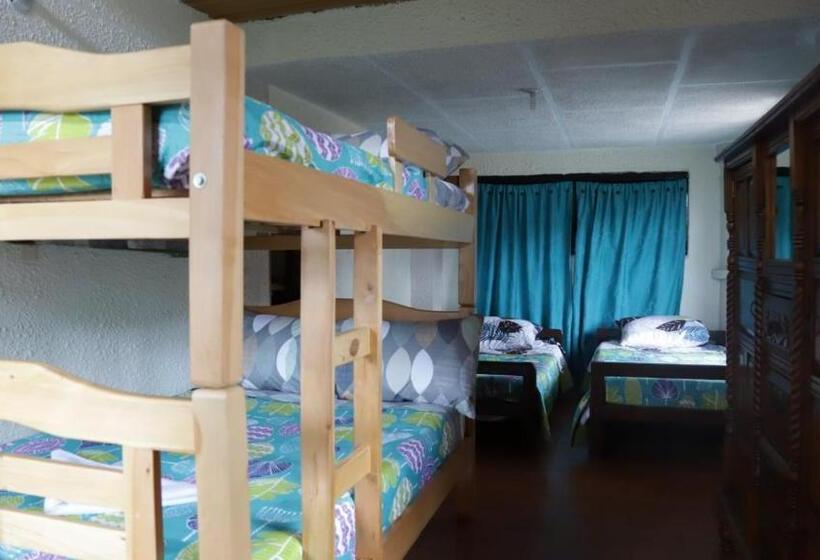 Pension (Hôtel basse catégorie) Arte Sin Fronteras Hostel