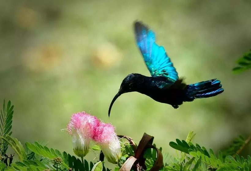 پانسیون Emmanuels View In Nature