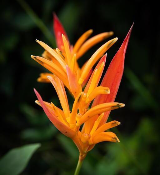 Pension Emmanuels View In Nature