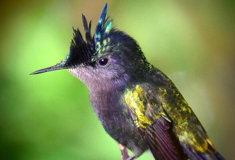 Pension Emmanuels View In Nature