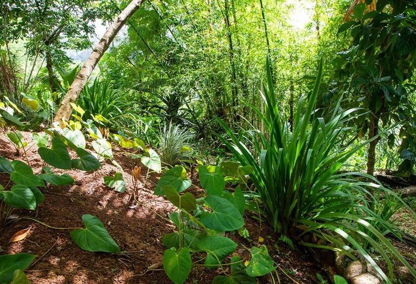 Pension Emmanuels View In Nature