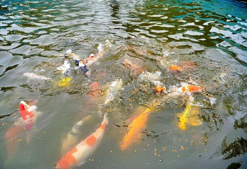 膳宿费 Footprint B&b