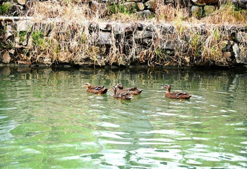 膳宿费 Footprint B&b