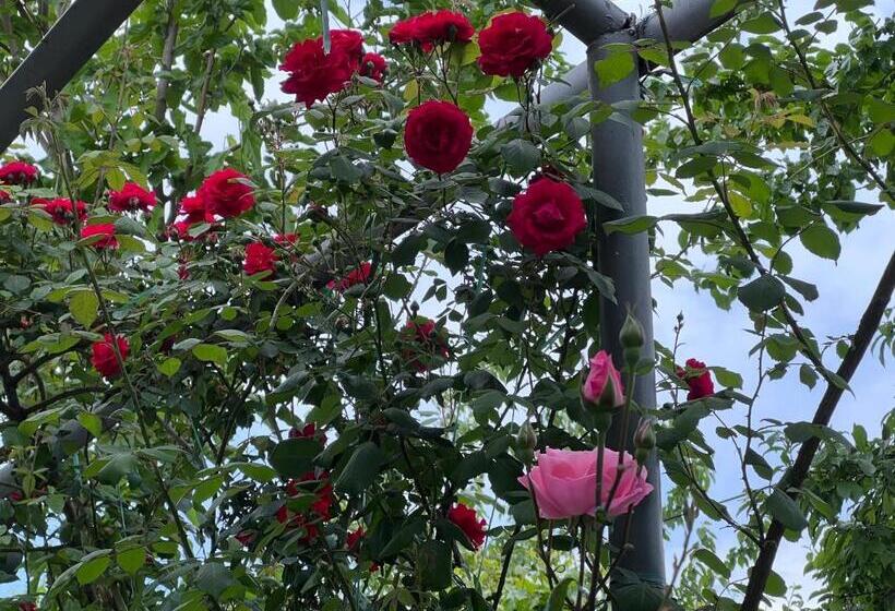 پانسیون Sunny Garden Guest House