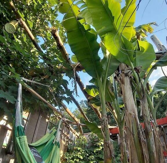 Bed and Breakfast Le Deck Halage