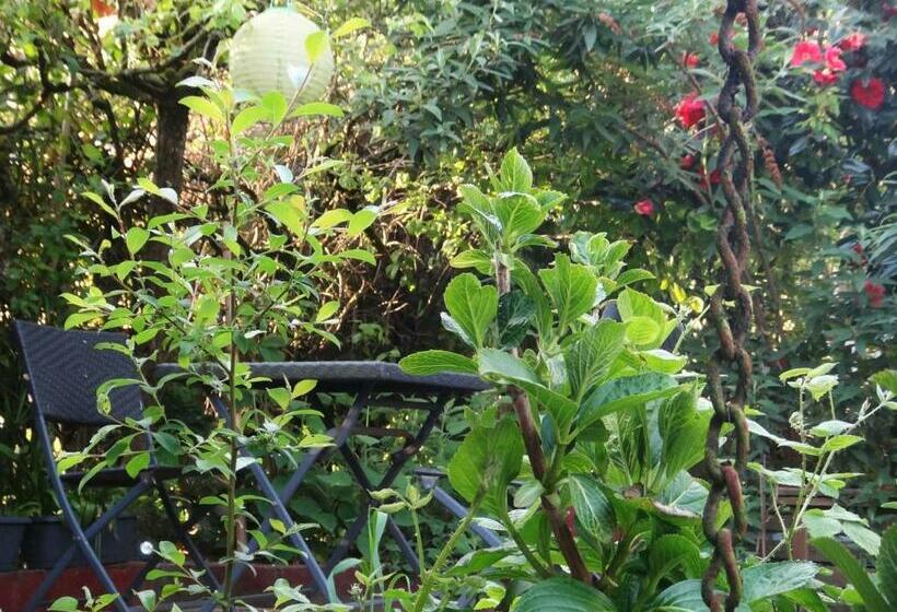 Bed and Breakfast Le Deck Halage