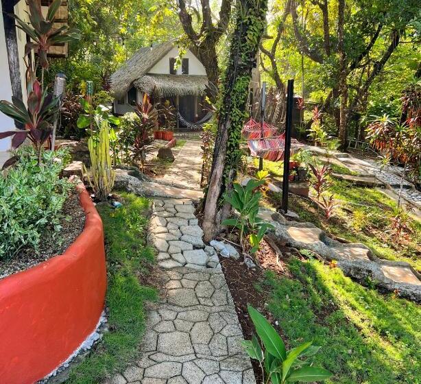 مبيت وإفطار Nativo