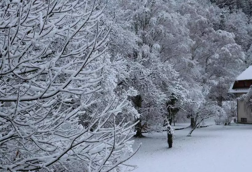 Hotelli Haus Hubertus