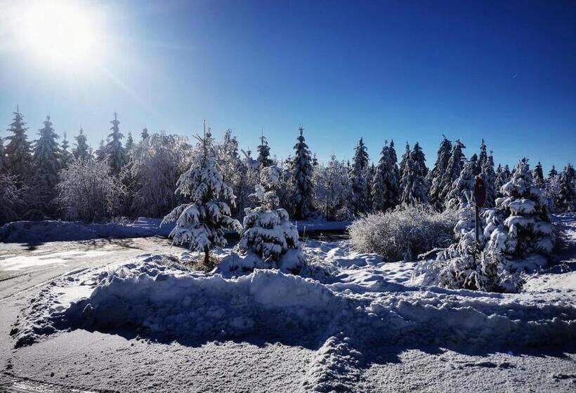 فندق Haus Hubertus