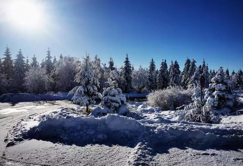 Hotelli Haus Hubertus