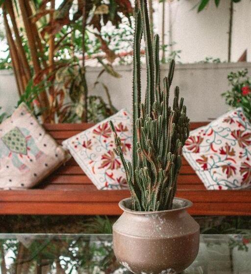 فندق Kooks Paradise