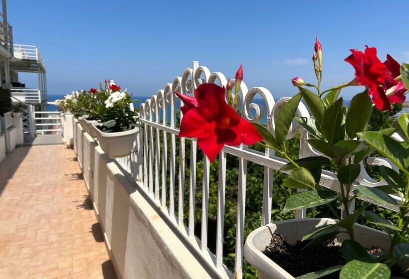 ホテル Mediterranean Boutique