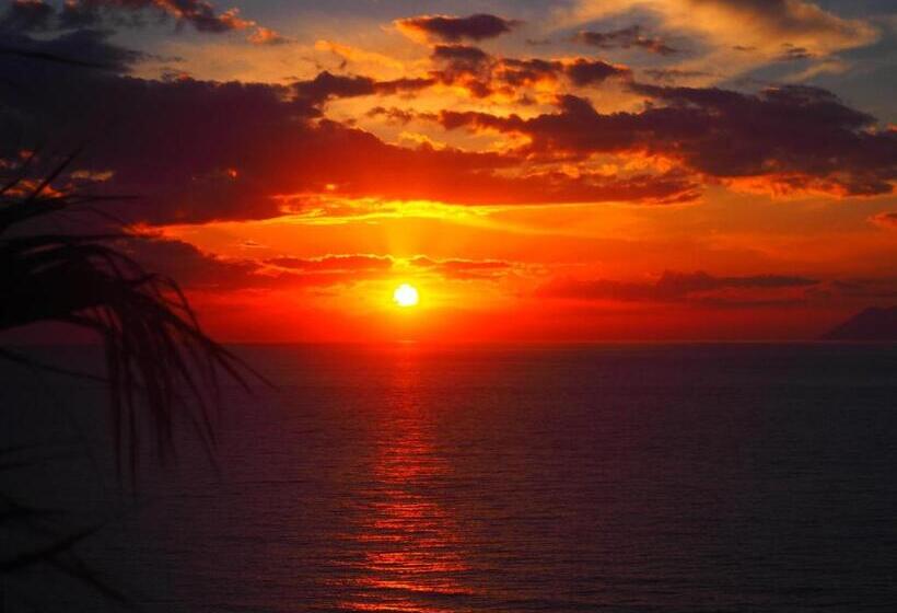 ホテル Mediterranean Boutique