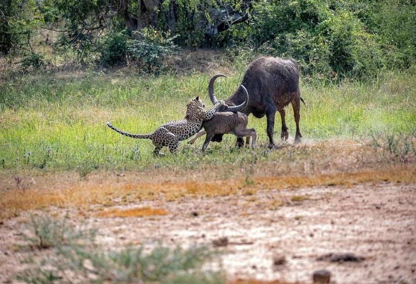 استراحتگاه Allure Yala Luxury Suites By Allure Leisure