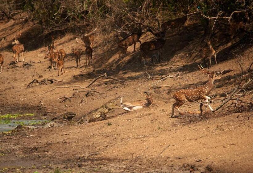 استراحتگاه Allure Yala Luxury Suites By Allure Leisure