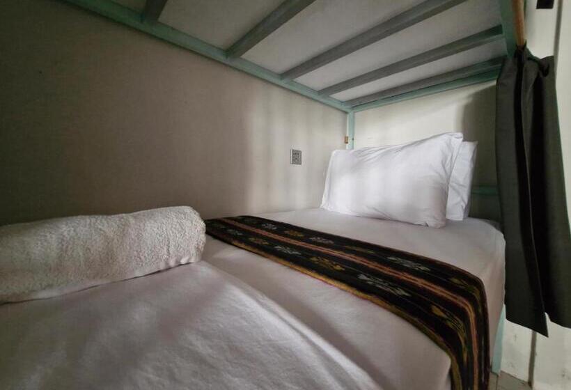 הוסטל Lala Salama Backpacker