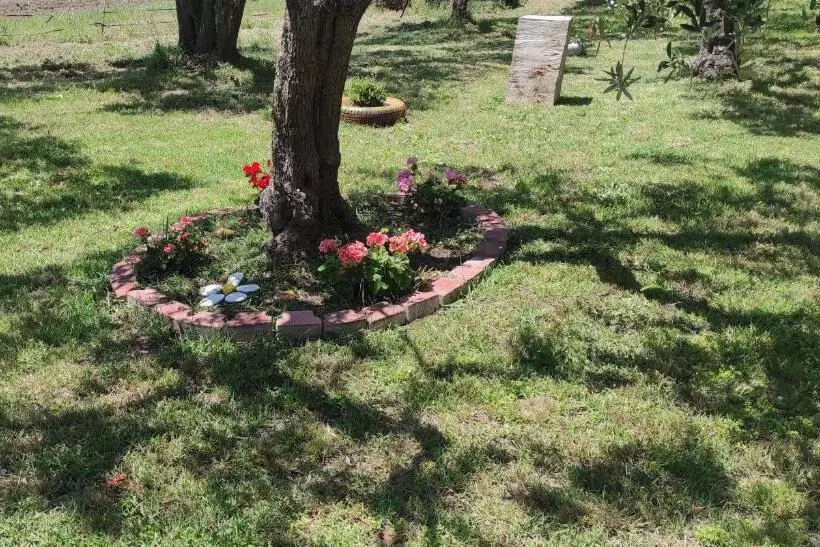 Aamiaismajoitus (B&B) Colline Del Sole