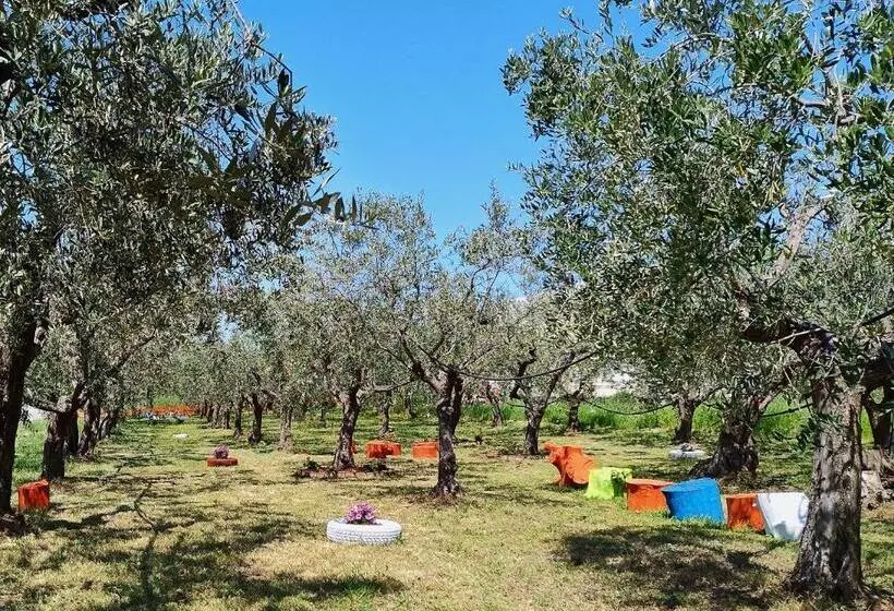 Aamiaismajoitus (B&B) Colline Del Sole