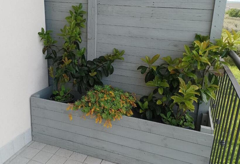 住宿加早餐  Colline Del Sole