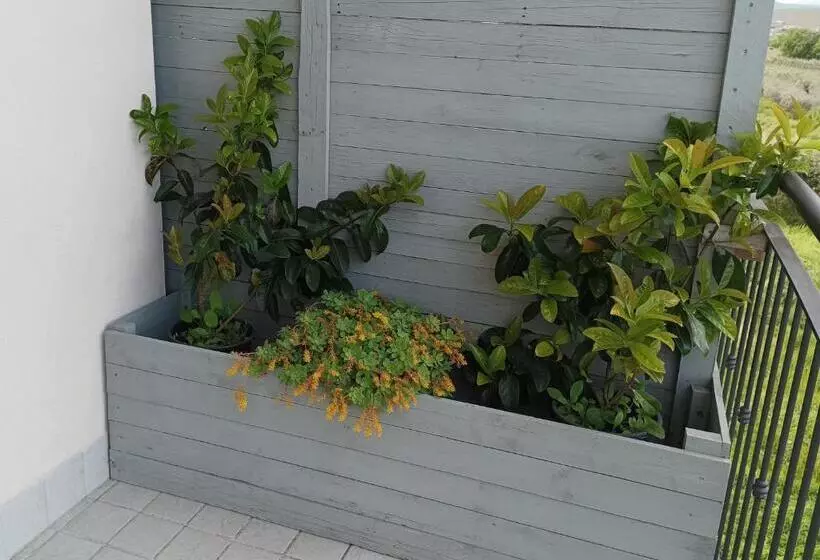 Aamiaismajoitus (B&B) Colline Del Sole