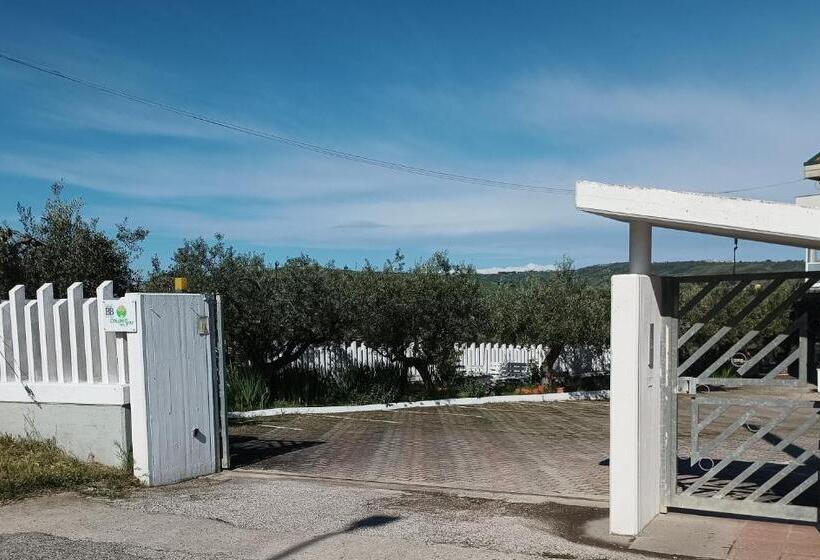 住宿加早餐  Colline Del Sole