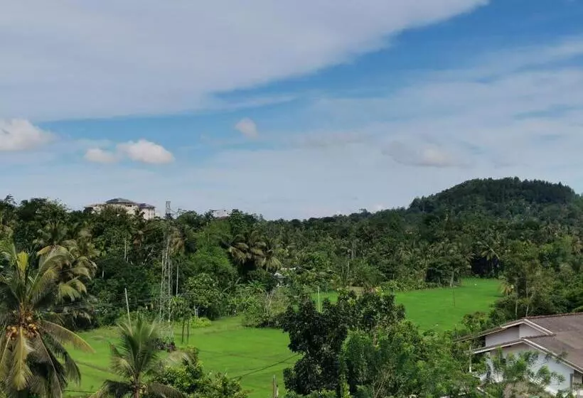 هتل Y Villa Residencies