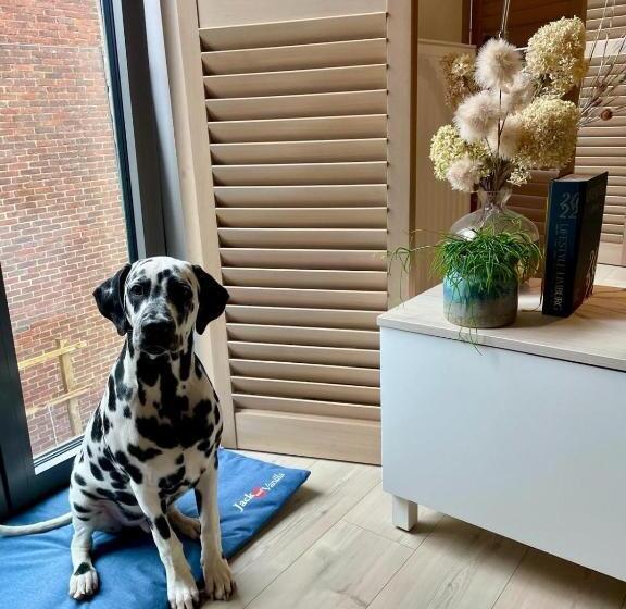 膳宿费 Bonne Suite Chambre D Hotes