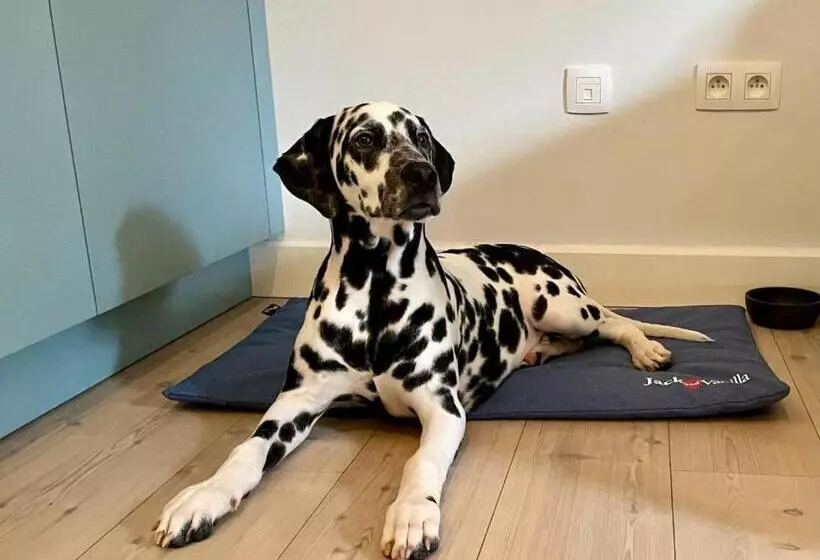 Majatalo Bonne Suite Chambre D Hotes