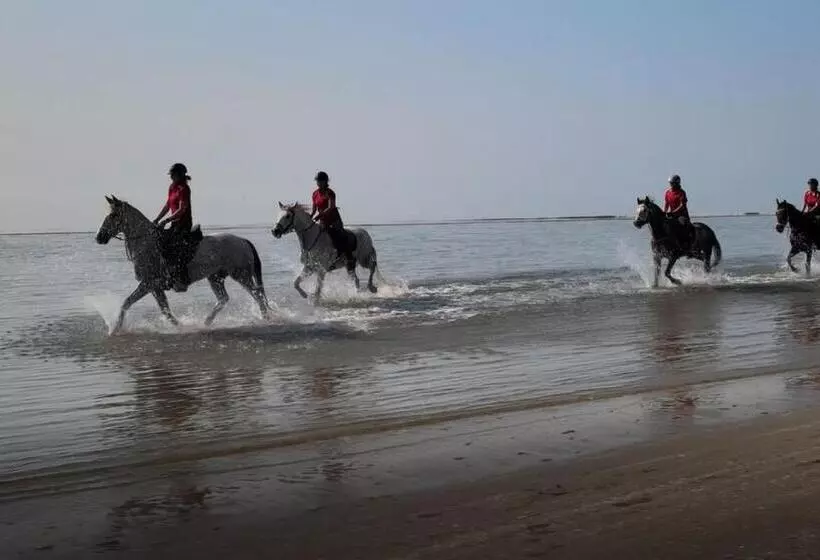 Hotelli Brussa Horse Oasi