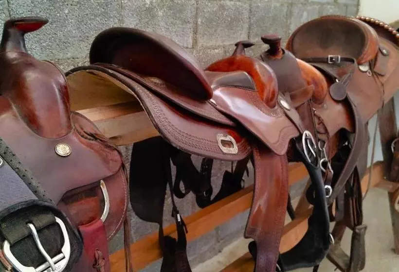 Hotelli Brussa Horse Oasi