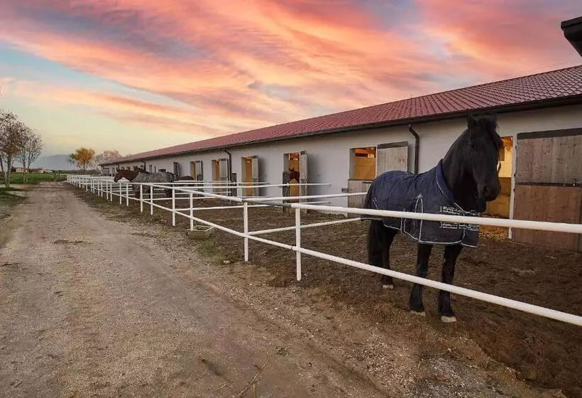 Hotelli Brussa Horse Oasi