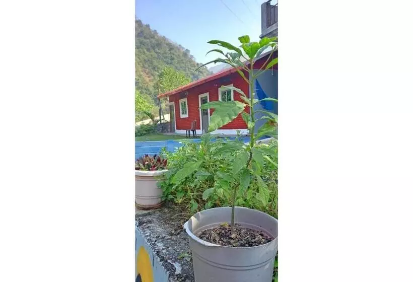 Hotelli The Jungle View Resort & Restaurant, Bhogpur