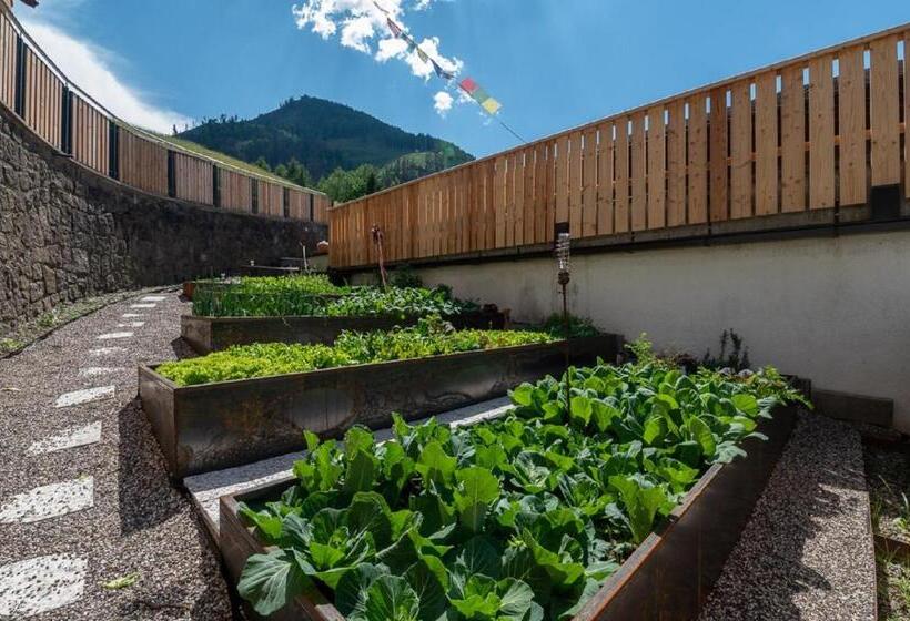 ホテル Planerhof Apartment Edelweiss