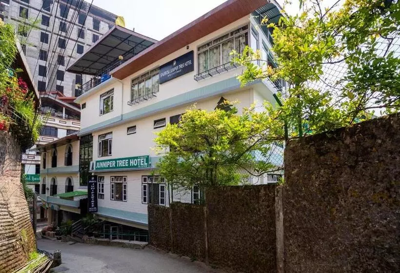 Hotelli Sparrow Juniper Tree 2 Min Walk To Mg Marg