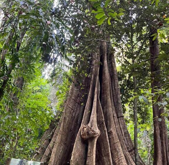 Pensjonat Hunny Home