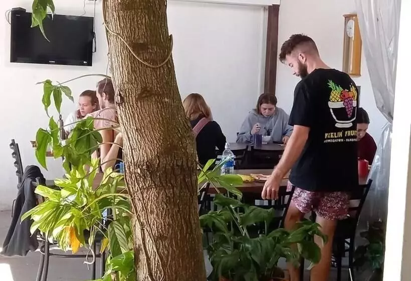 ベッドアンドブレックファースト Casa Escalante Hostel