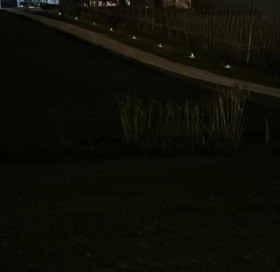 住宿加早餐  Il Glicine Campagnolo