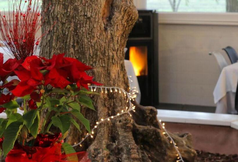 בית מלון כפרי Ardesia