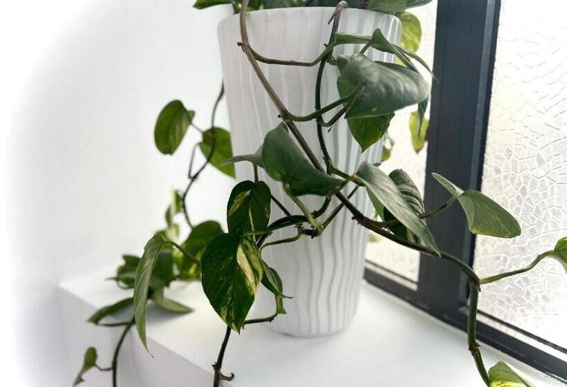 호텔 Tirana Square