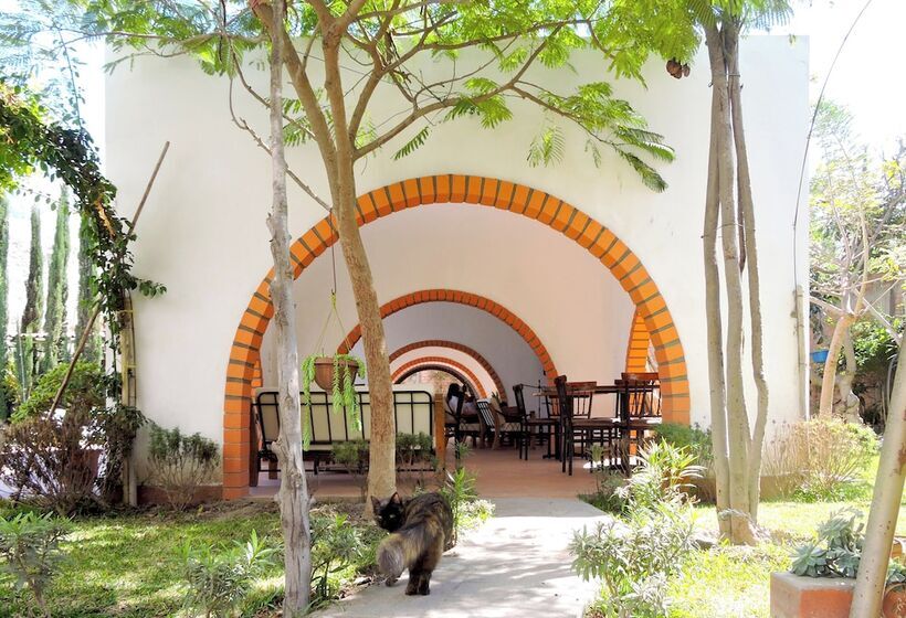 פנסיון Casa Hotel Mamaluna