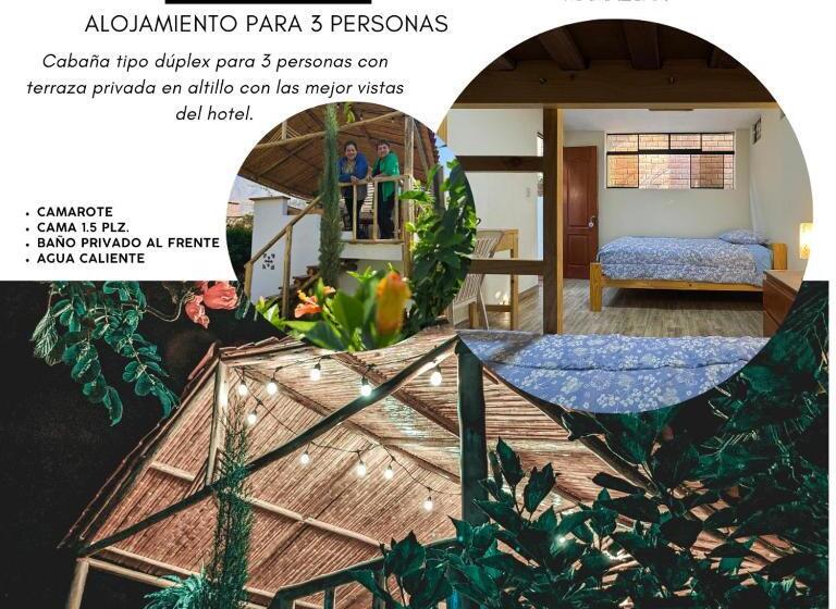 פנסיון Casa Hotel Mamaluna