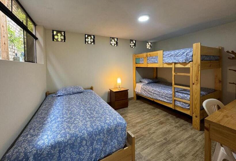 פנסיון Casa Hotel Mamaluna