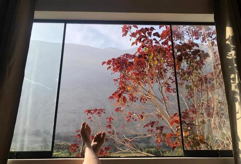 Majatalo Casa Hotel Mamaluna