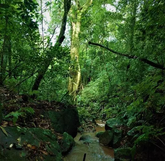 Majatalo Recanto Da Paz   Aos Pés Do Morro Da Borússia