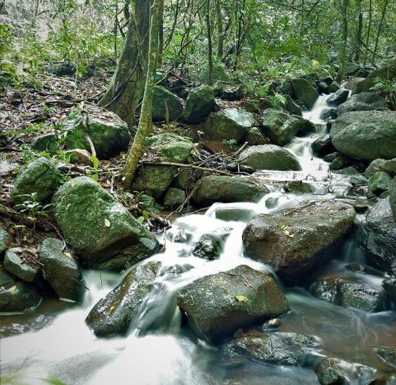 بنسيون Recanto Da Paz Aos Pés Do Morro Da Borússia