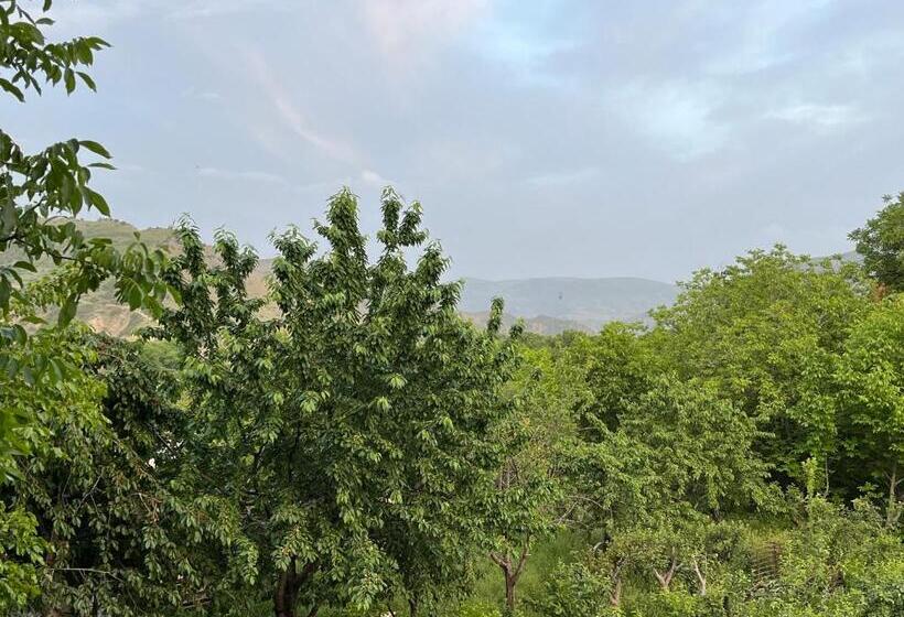 Pension Roman S Guest House In Garni