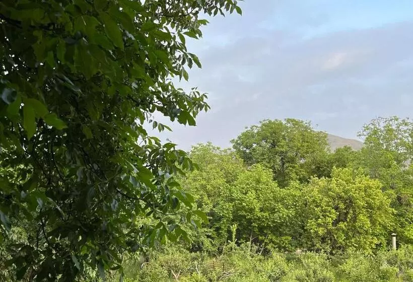 Majatalo Roman S Guest House In Garni