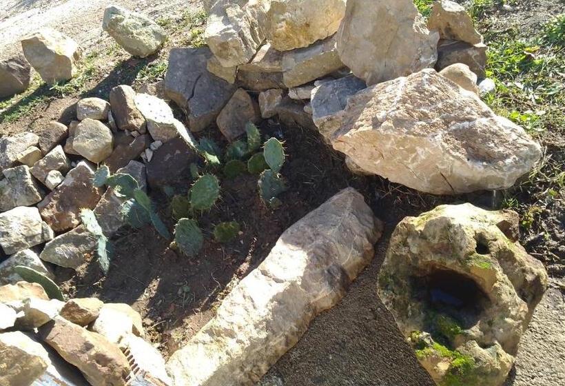 Пансион Roomsfree!!!!