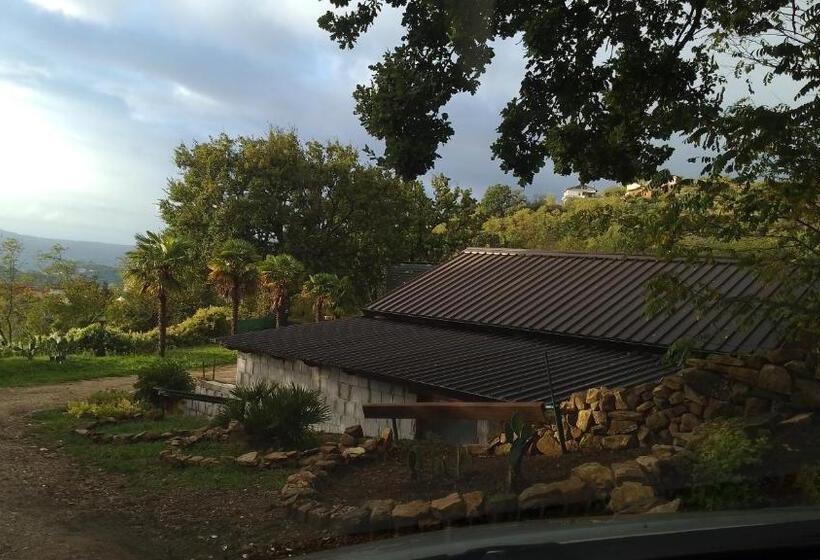 Пансион Roomsfree!!!!